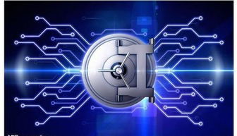 虛擬服務器 網絡與信息安全軟件開發(fā)的基礎